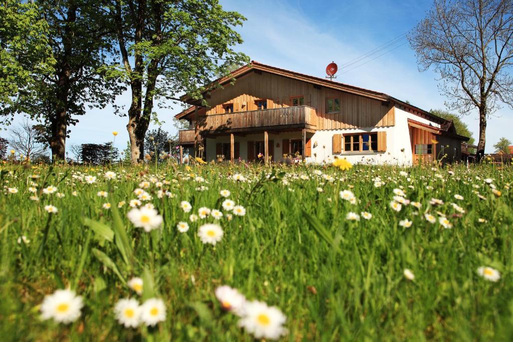 Luna Mia - Apartments Schwangau Dış mekan fotoğraf